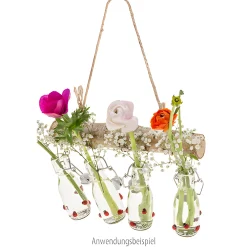 Deko-Anhänger|Besonderes Und Witziges|Birkenast 30 cm mit Kordelhenkel und 4 Haken