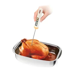 Tescoma Kleingeräte|Messgeräte|Digitales Thermometer 'Delicia'