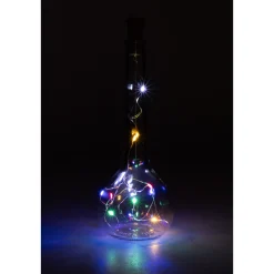 Deko|Weihnachtslichter|Flaschenlicht, 10 LEDs, mehrfarbig