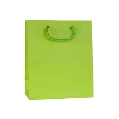 Einfarbiges Zum Basteln|Geschenktüten, -Taschen & Papiertüten|Geschenktüte hellgrün, mittel