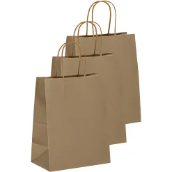 Einfarbiges Zum Basteln|Geschenktüten, -Taschen & Papiertüten|Geschenktüte  natron, groß, 3 Stück