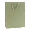Einfarbiges Zum Basteln|Geschenktüten, -Taschen & Papiertüten|Geschenktüte natron-grün, groß