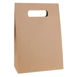 Einfarbiges Zum Basteln|Geschenktüten, -Taschen & Papiertüten|Geschenktüte natur, groß