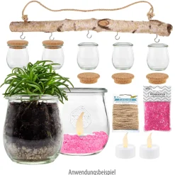 Windlichter Und Kerzengläser|Weck-Sets|Gläser Set 'Hängender Garten' im WECK-Mini-Tulpenglas