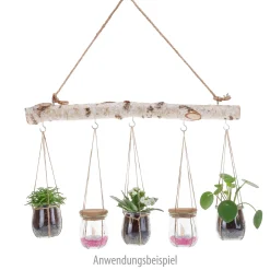 Windlichter Und Kerzengläser|Weck-Sets|Gläser Set 'Hängender Garten' im WECK-Mini-Tulpenglas