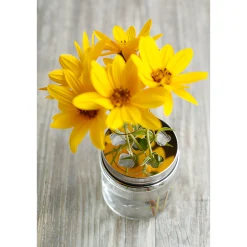 HappyTappi Sonstige Verschlüsse|Schraubdeckel|CT 70 Blumenhalter