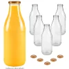 Apfel-, Birnen-, Quittenzeit|Saft & Sirup|Weithalsflasche 1000 ml TO 48, 6er Set